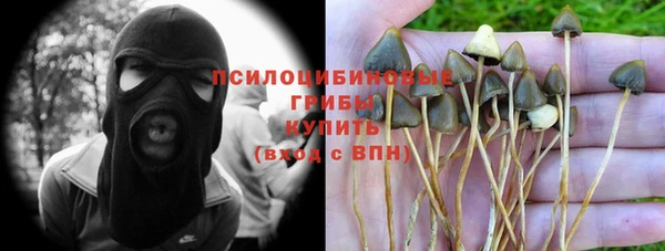 винт Арсеньев