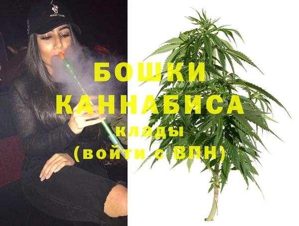 винт Арсеньев
