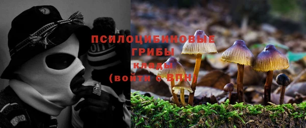 винт Арсеньев